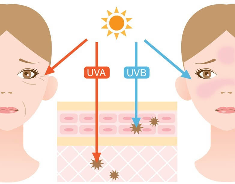 Tia UVA và UVB đều gây hại cho làn da